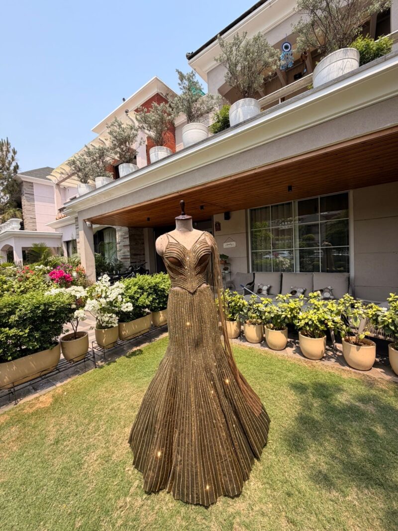 Royal copper embellished fusion fishcut set