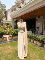Ivory celestial drape saree