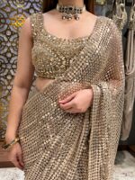 Champagne stardust embellished saree