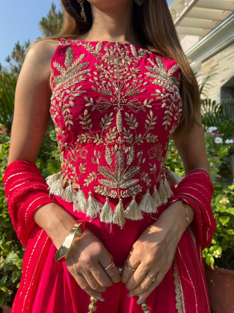Hot pink elegant embellished set