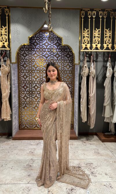 Champagne stardust embellished saree