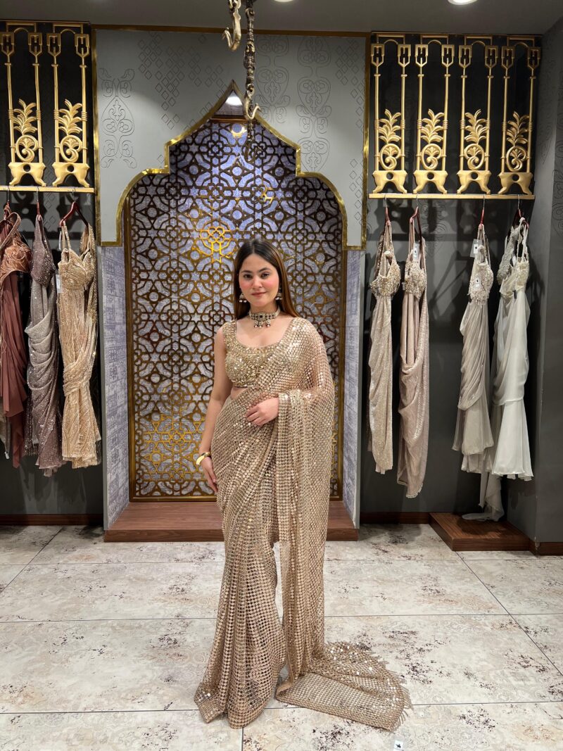 Champagne stardust embellished saree