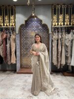 Champagne noor elegant saree