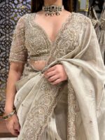 Champagne noor elegant saree