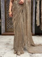 Champagne stardust embellished saree