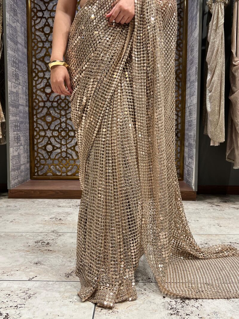 Champagne stardust embellished saree
