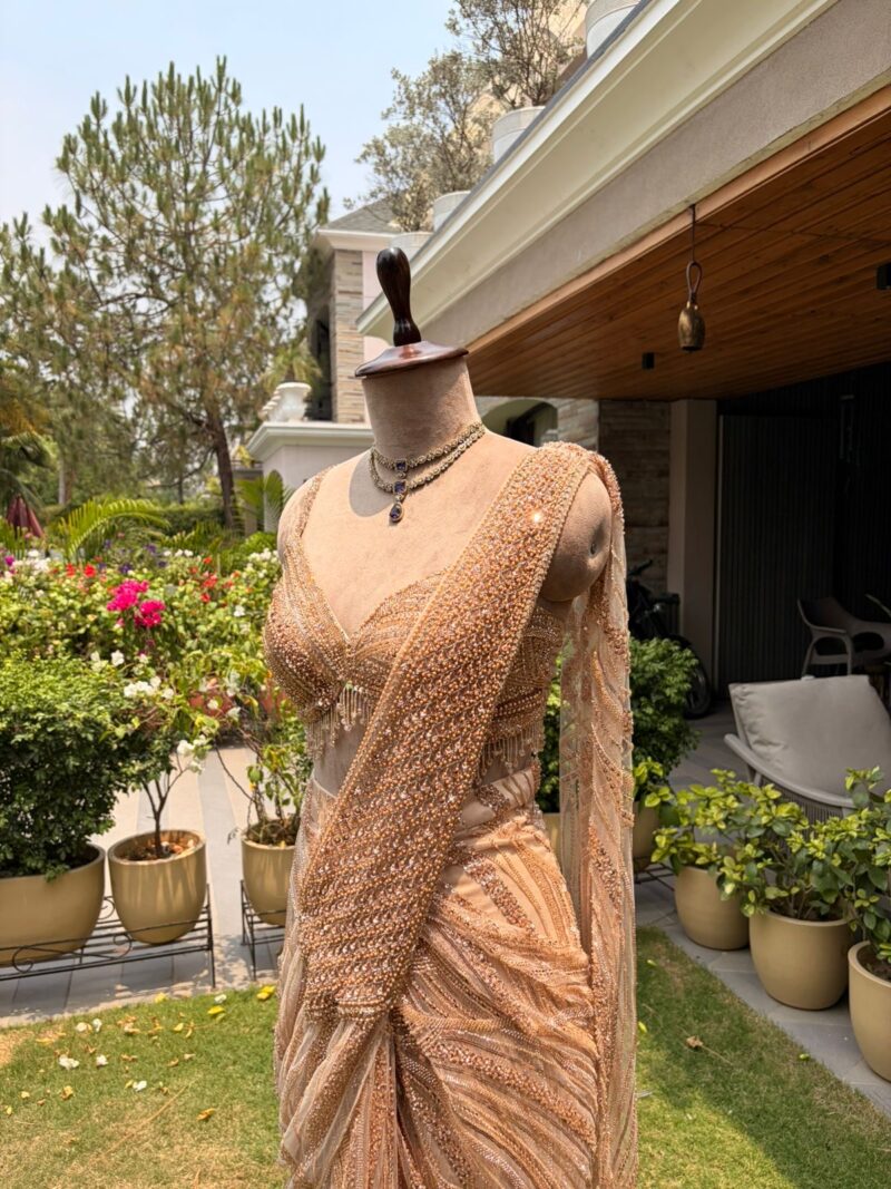 Champagne aura drape saree