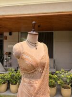 Champagne aura drape saree