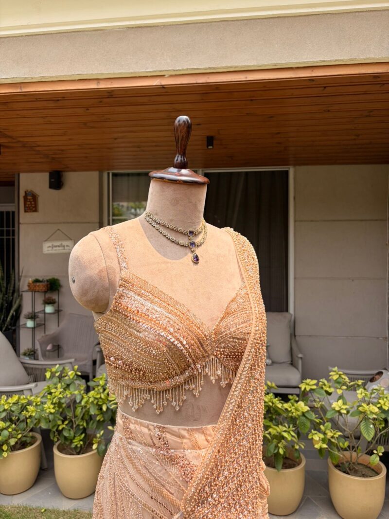 Champagne aura drape saree
