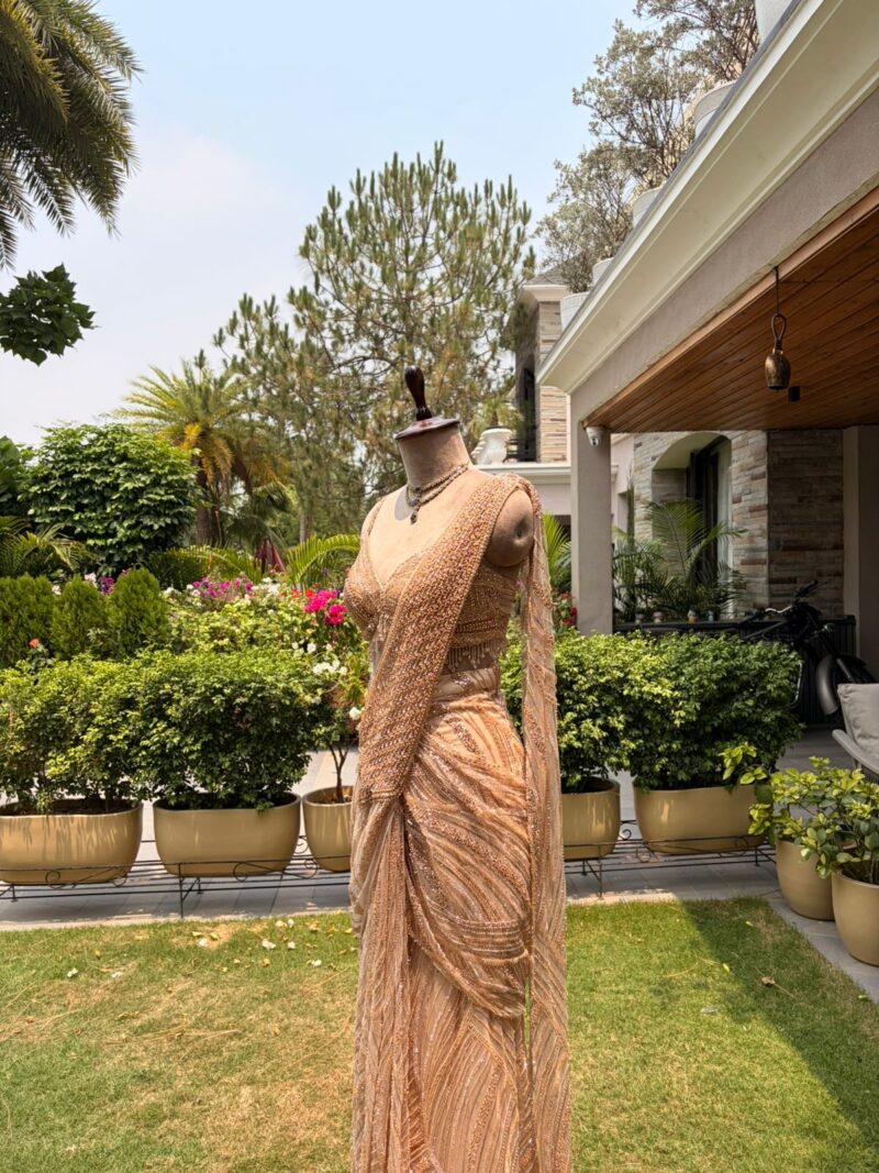 Champagne aura drape saree