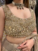 Champagne stardust embellished saree
