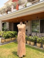 Champagne aura drape saree