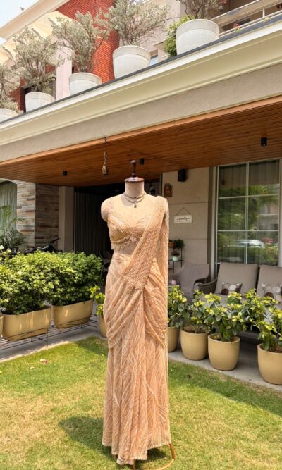 Champagne aura drape saree