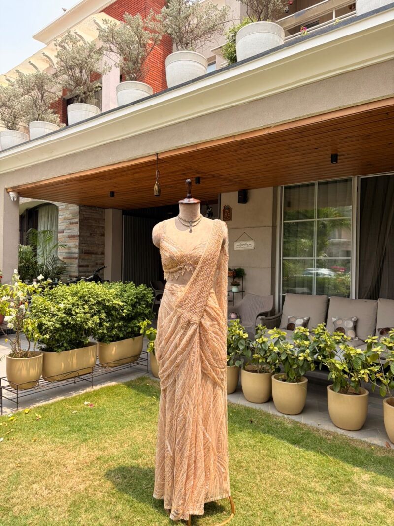 Champagne aura drape saree