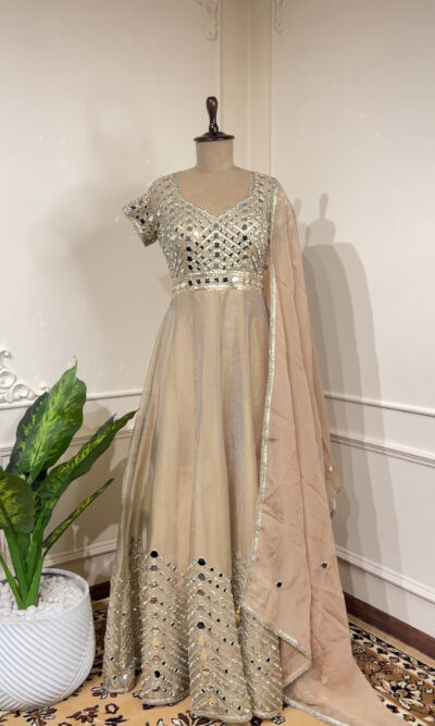 Champagne glow Anarkali set