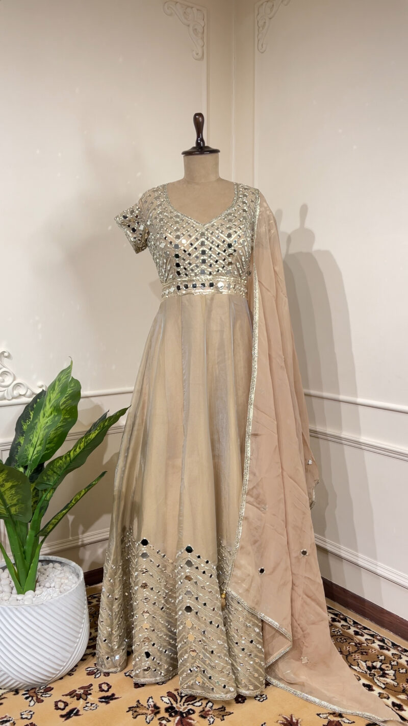 Champagne glow Anarkali set