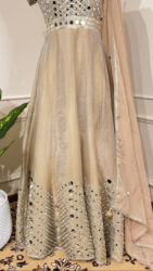 Champagne glow Anarkali set