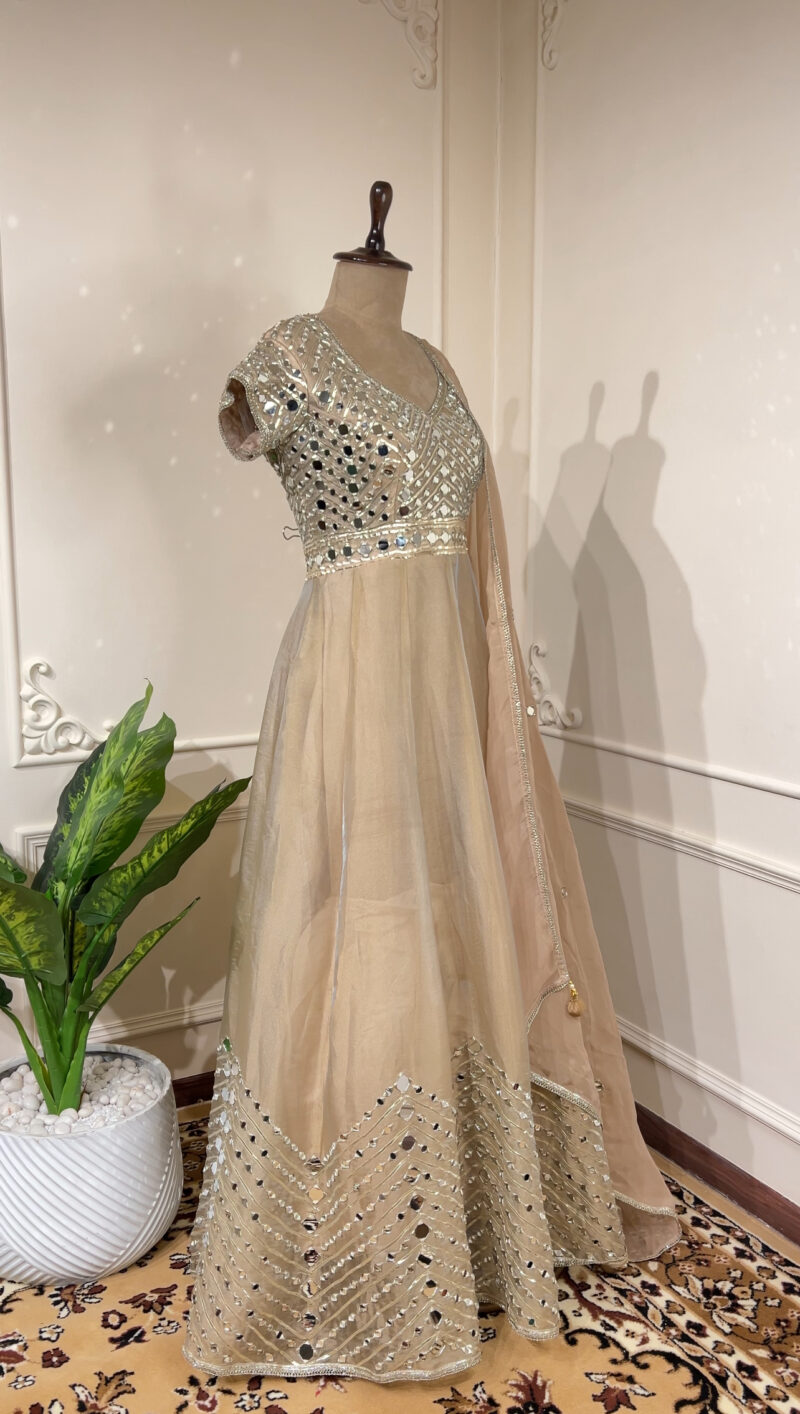 Champagne glow Anarkali set