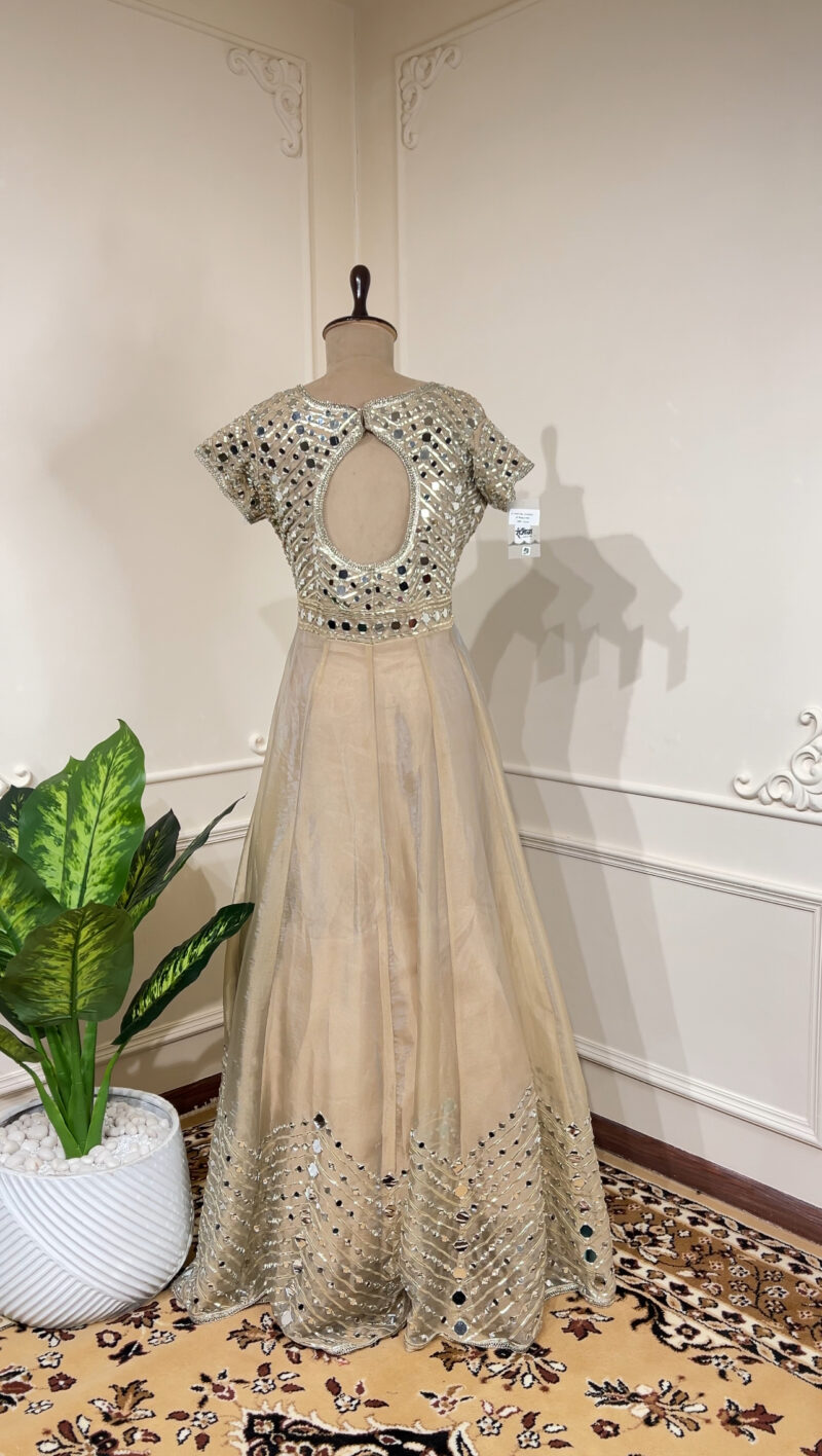 Champagne glow Anarkali set